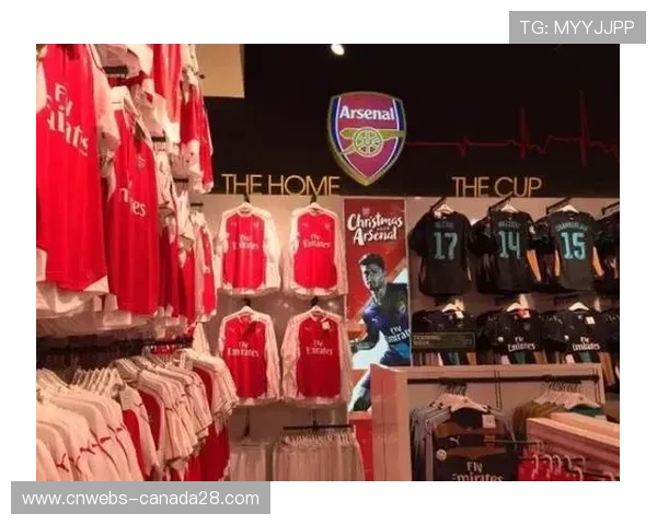 布莱顿推出客场观赛替代方案 用心保障球迷观赛权益 布莱顿推出客场观赛替代方案 用心保障球迷观赛权益