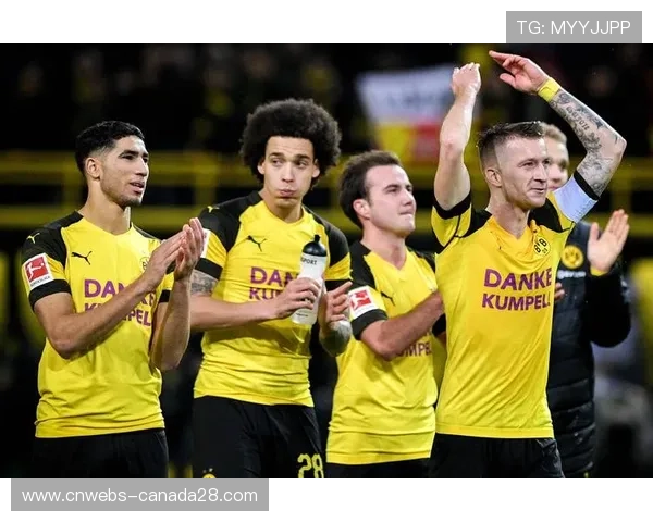 范登贝尔赫对阵旧主利物浦，布伦特福德手榴弹战术奏效